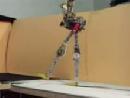 Robot Adapts To Various Terrains